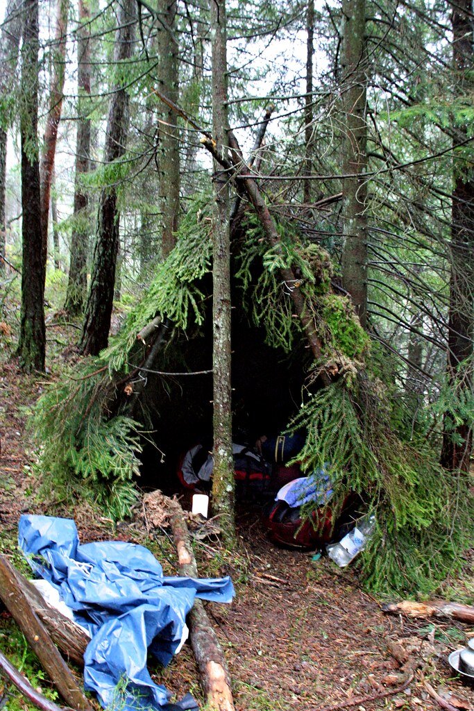 The Ultimate Guide to Building a Survival Shelter