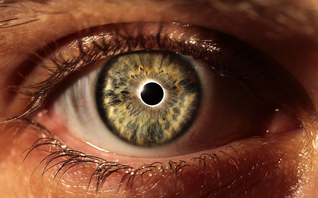 How to Treat Eye Injuries in Survival Scenarios