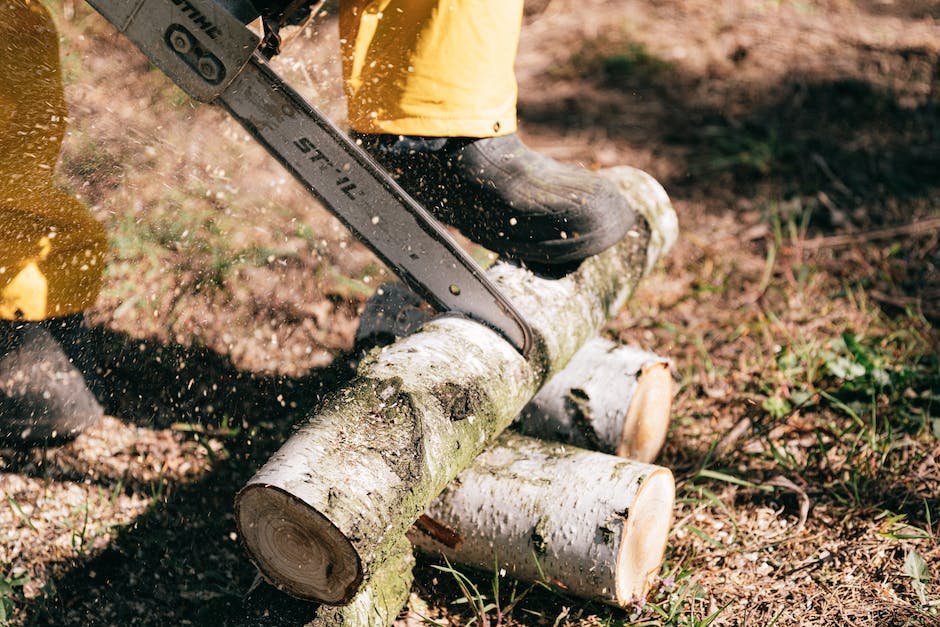 The Best Portable Saws for Wilderness Survival
