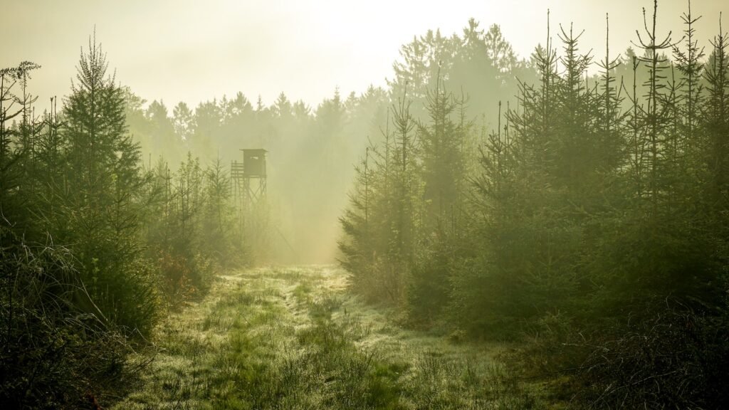 The Best Hunting & Foraging Books Reviewed