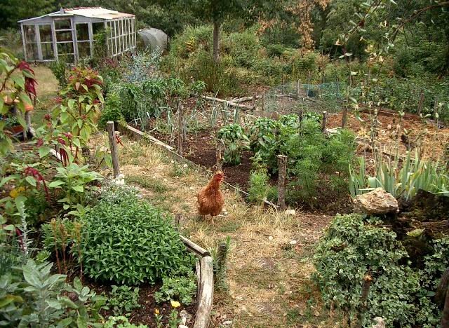 Selecting the Right Location for Your Permaculture Garden