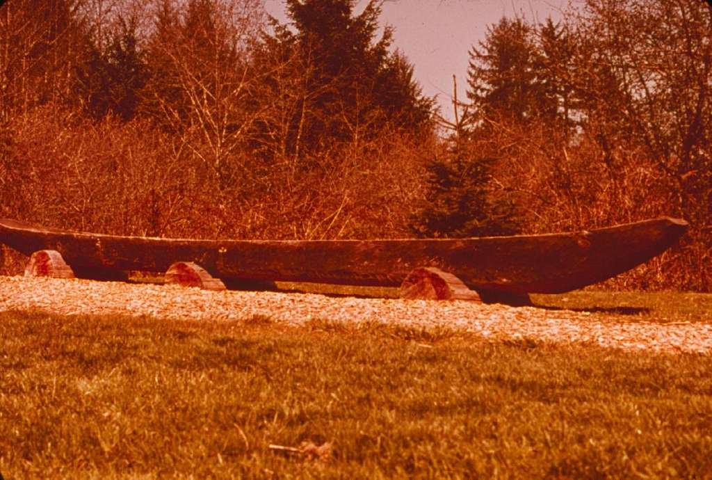 How to Make a Wilderness Dugout Canoe