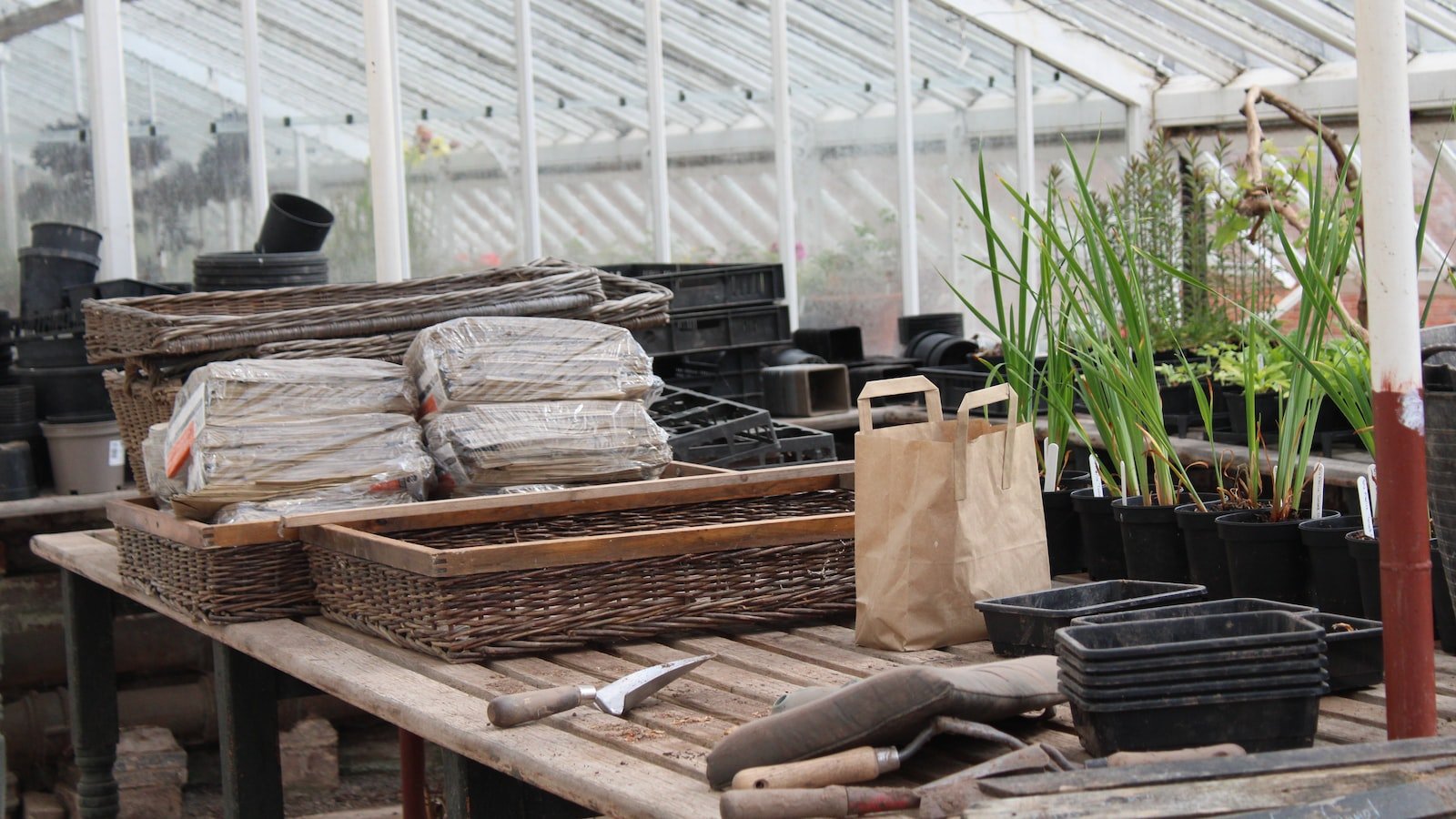 Choosing the Right Location for Your Year-Round Greenhouse