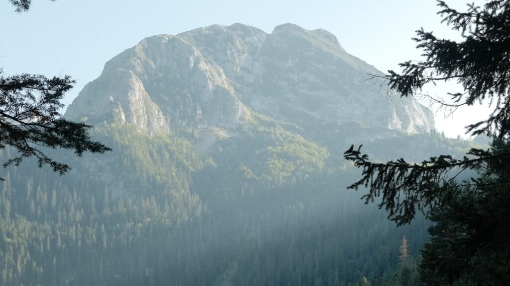 How to Build a Wilderness Loom for Weaving