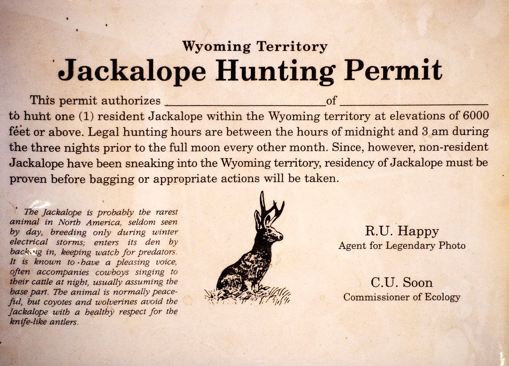 The Importance of Hunting Licenses and Regulations