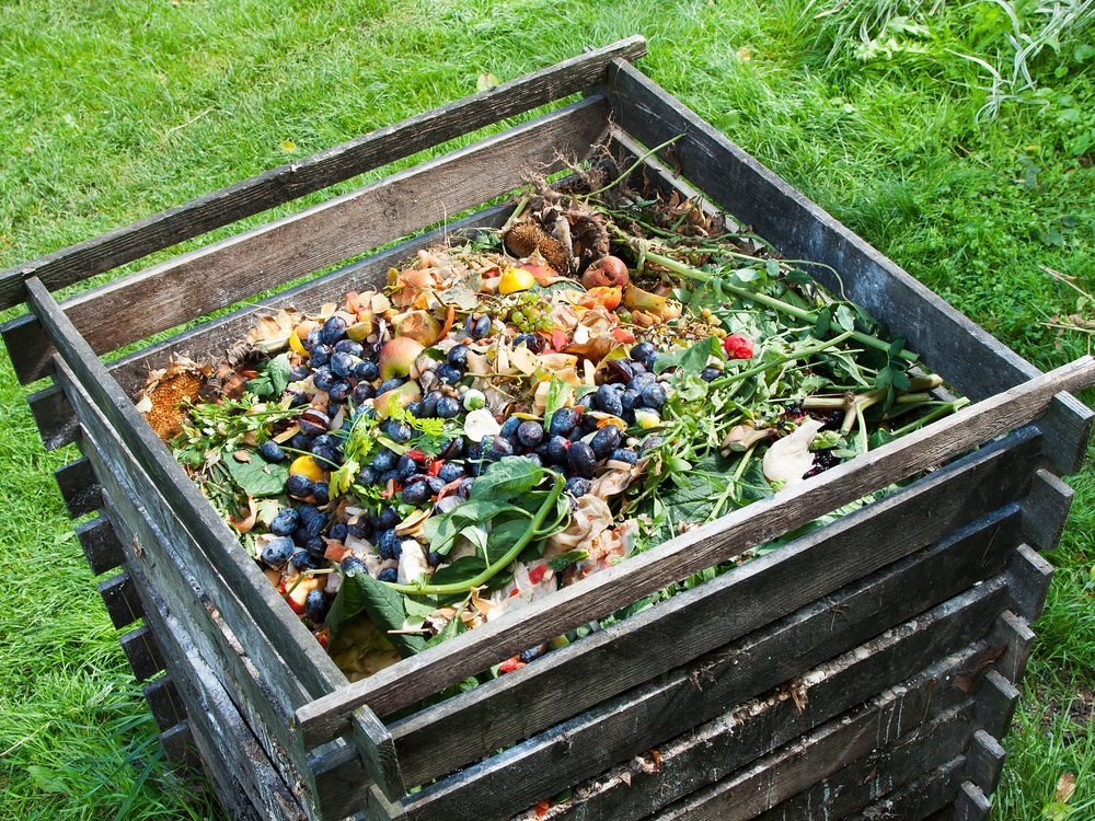 Unleashing the Power of Nature: Harnessing Composting for Self-Sufficient Living
