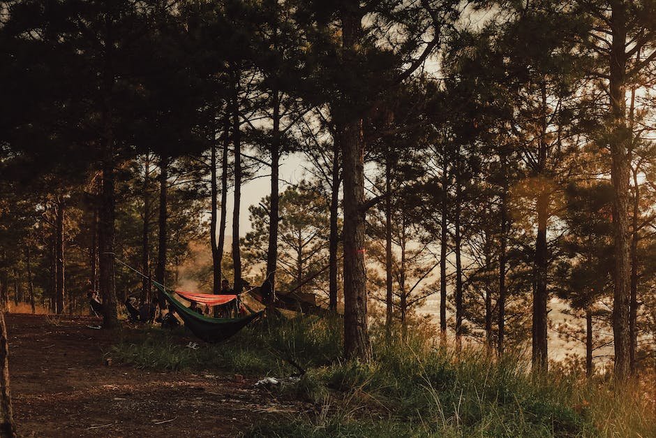 Ensuring a Peaceful and Restful Sleep in Your Wilderness Hammock