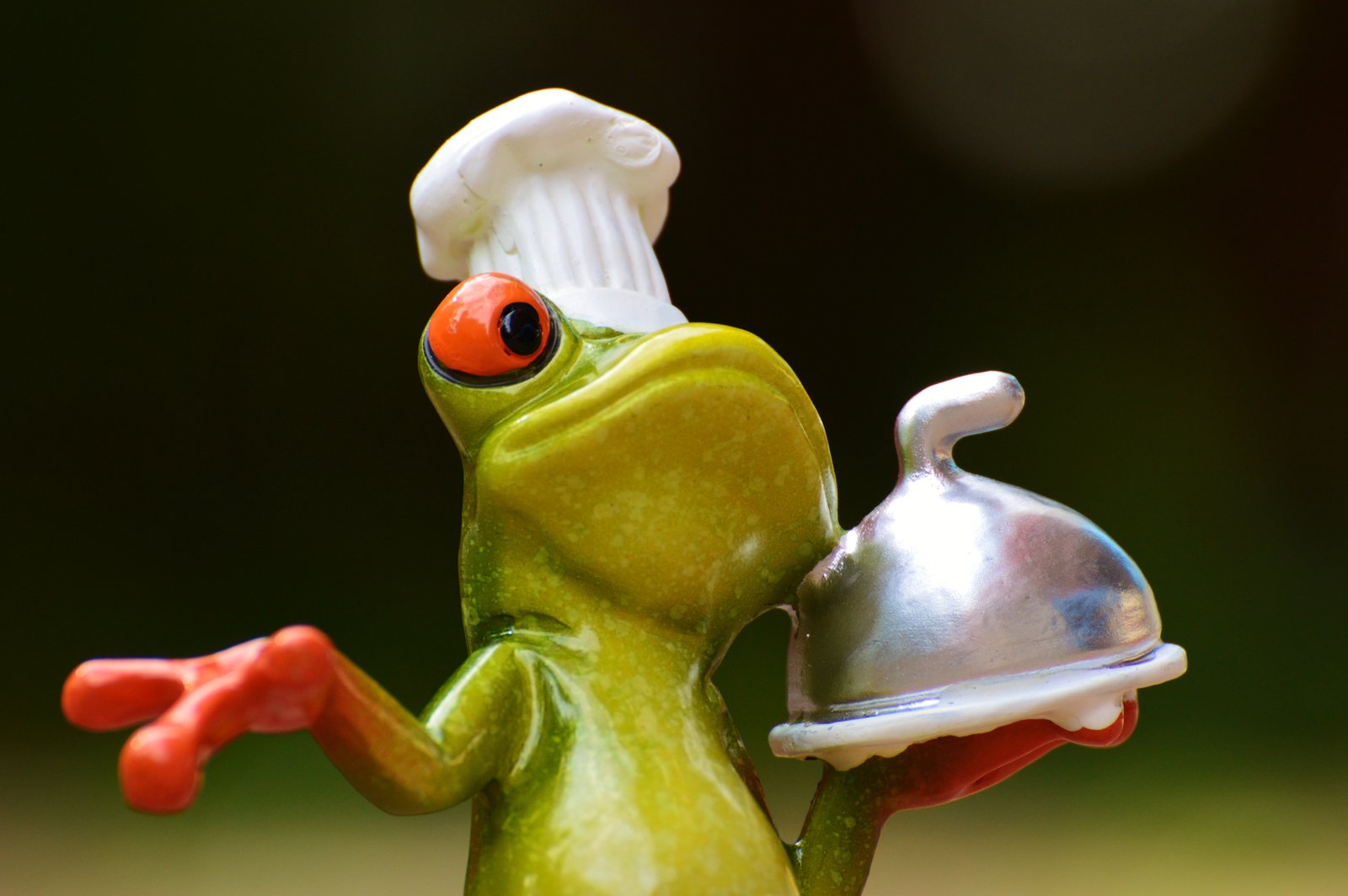 The Art of Amphibian​ Cooking: Transforming⁤ Wilderness Treasures into Gastronomic Delights